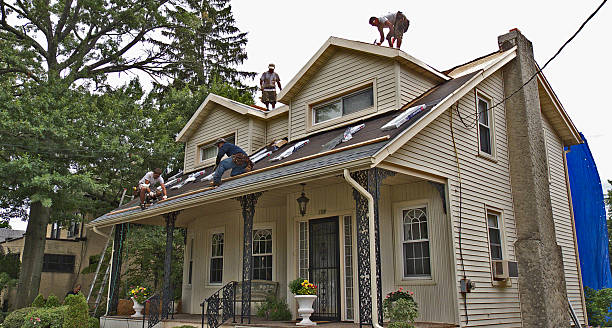 Best Roof Gutter Cleaning  in Holly Ridge, NC